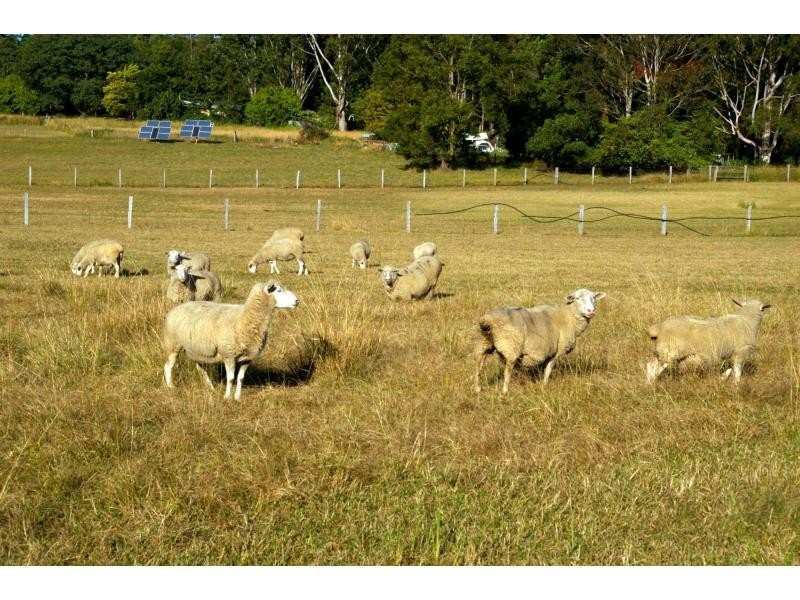 380 Redbank Road, Wauchope NSW 2446