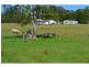 1106 Bago Road, Herons Creek NSW 2443