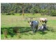 1106 Bago Road, Herons Creek NSW 2443