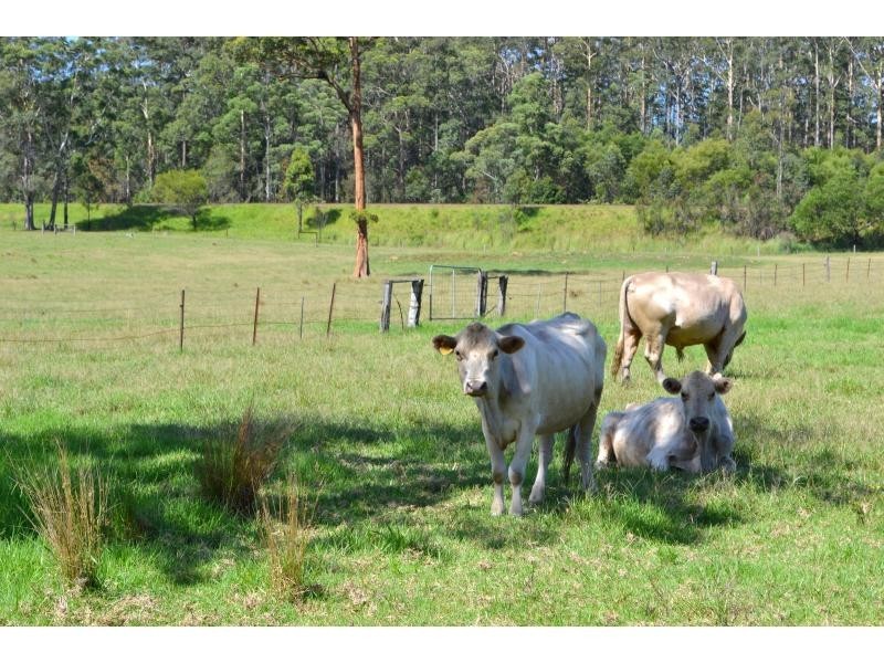 1106 Bago Road, Herons Creek NSW 2443
