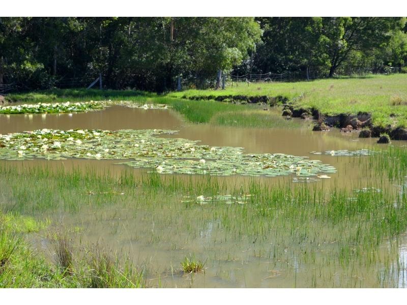 1106 Bago Road, Herons Creek NSW 2443