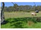 1106 Bago Road, Herons Creek NSW 2443