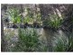 1106 Bago Road, Herons Creek NSW 2443