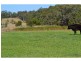 235 Rawdon Island Road, Sancrox NSW 2446
