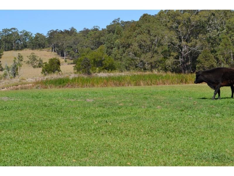 235 Rawdon Island Road, Sancrox NSW 2446