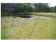 145A Bril Bril Road, Rollands Plains NSW 2441