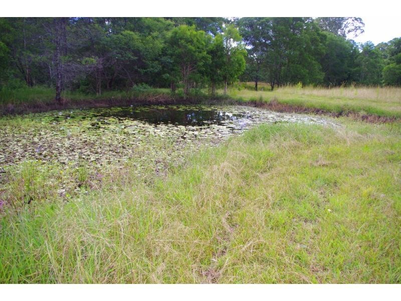 145A Bril Bril Road, Rollands Plains NSW 2441