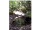 L178 / 1869 Pappinbarra Road, Hollisdale NSW 2446
