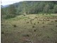 L178 / 1869 Pappinbarra Road, Hollisdale NSW 2446