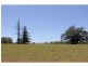 190 Hewens Road, Beechwood NSW 2446