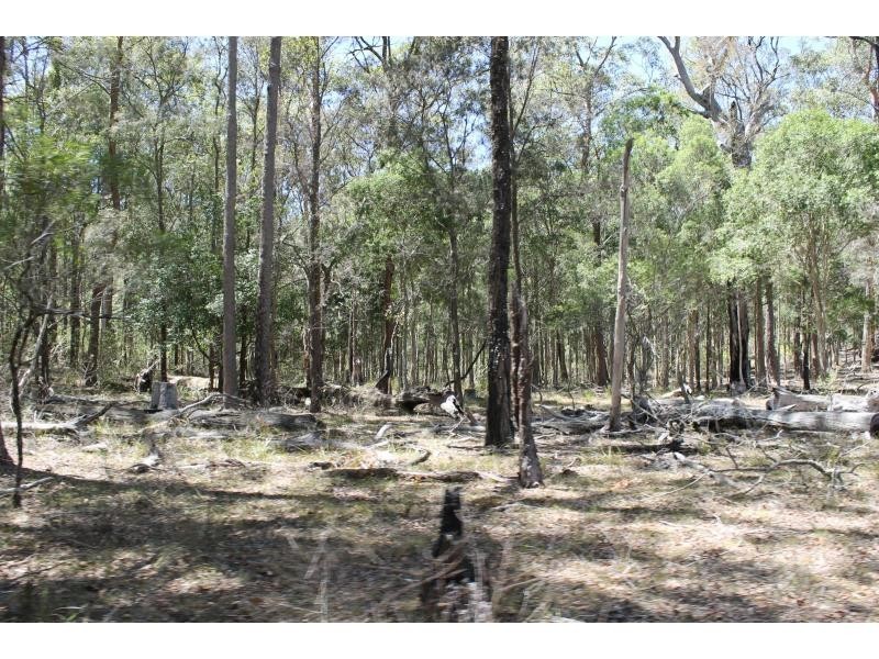 190 Hewens Road, Beechwood NSW 2446