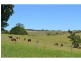 4 Ingleside Road, Comboyne NSW 2429