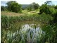 L113 Calara Lane, Pappinbarra NSW 2446