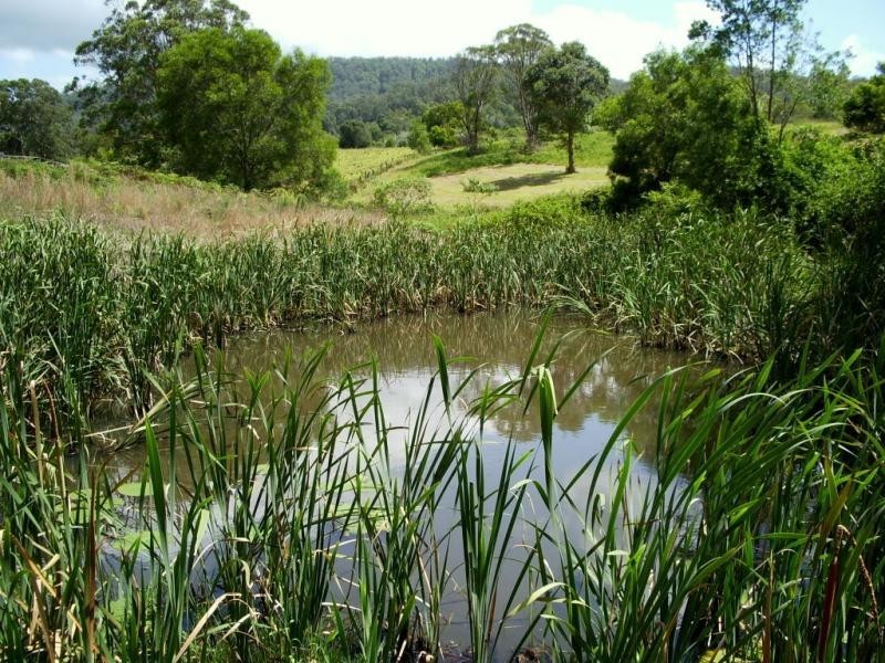 L113 Calara Lane, Pappinbarra NSW 2446