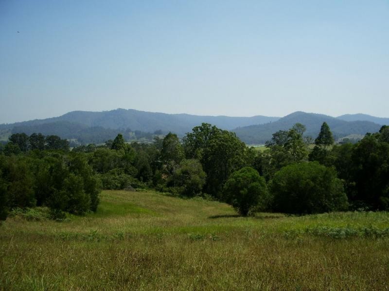 L113 Calara Lane, Pappinbarra NSW 2446
