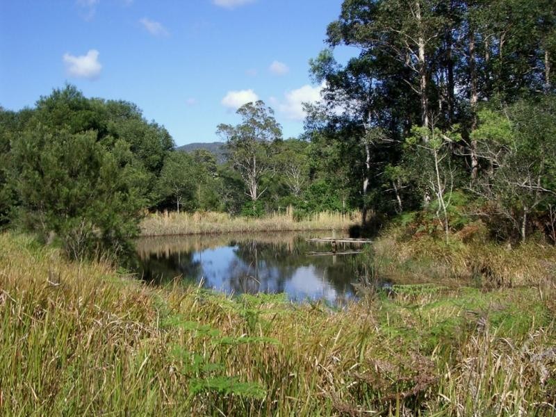 L113 Calara Lane, Pappinbarra NSW 2446