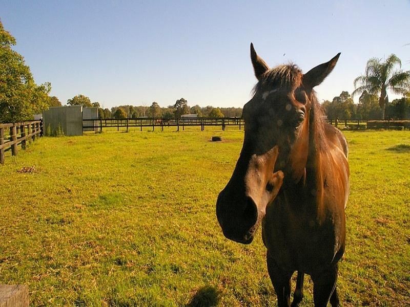 106 Redbank Road, Wauchope NSW 2446