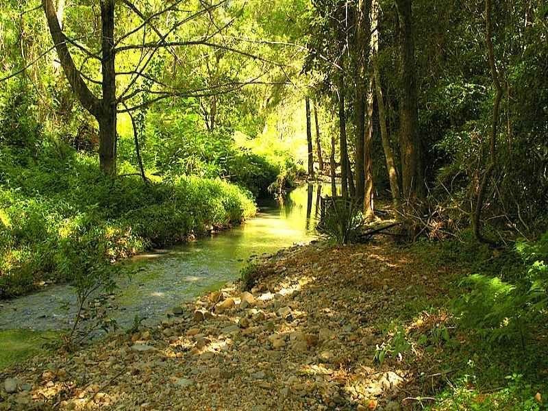 2554 Pappinbarra Road, Pappinbarra NSW 2446