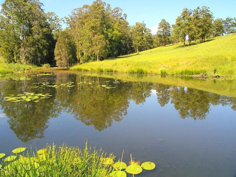 115 West Frasers Creek Road, Beechwood NSW 2446