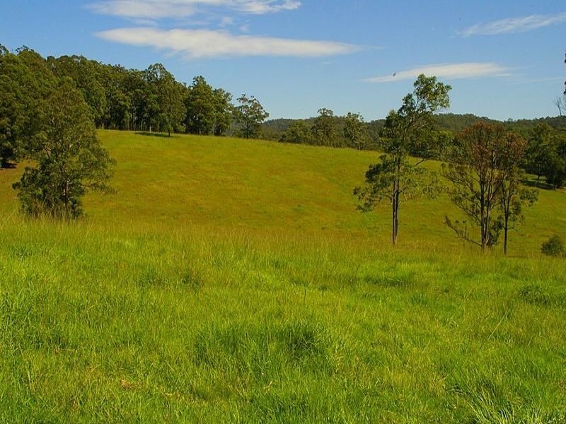 115 West Frasers Creek Road, Beechwood NSW 2446