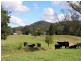 Lot 2 Boytrang Road, Pipeclay NSW 2446