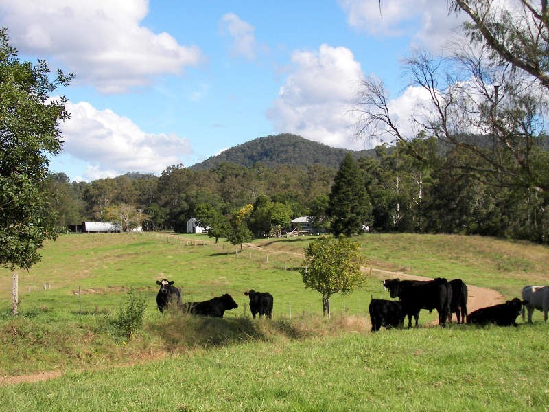 Lot 2 Boytrang Road, Pipeclay NSW 2446