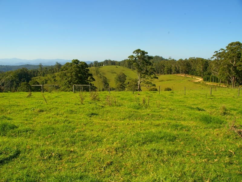 619 Ponsford Road, Comboyne NSW 2429