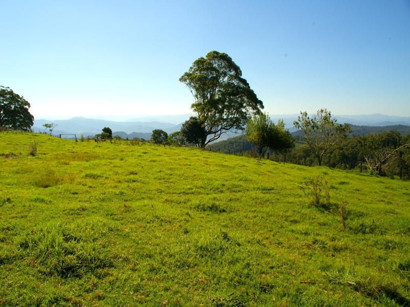 619 Ponsford Road, Comboyne NSW 2429