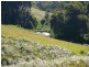 619 Ponsford Road, Comboyne NSW 2429