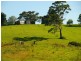619 Ponsford Road, Comboyne NSW 2429