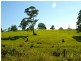 619 Ponsford Road, Comboyne NSW 2429
