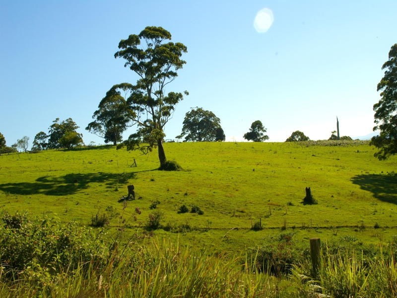 619 Ponsford Road, Comboyne NSW 2429
