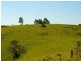 619 Ponsford Road, Comboyne NSW 2429