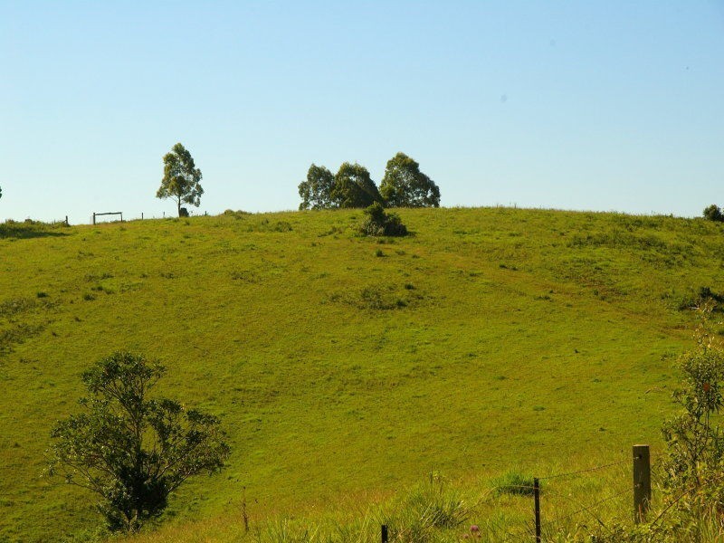 619 Ponsford Road, Comboyne NSW 2429
