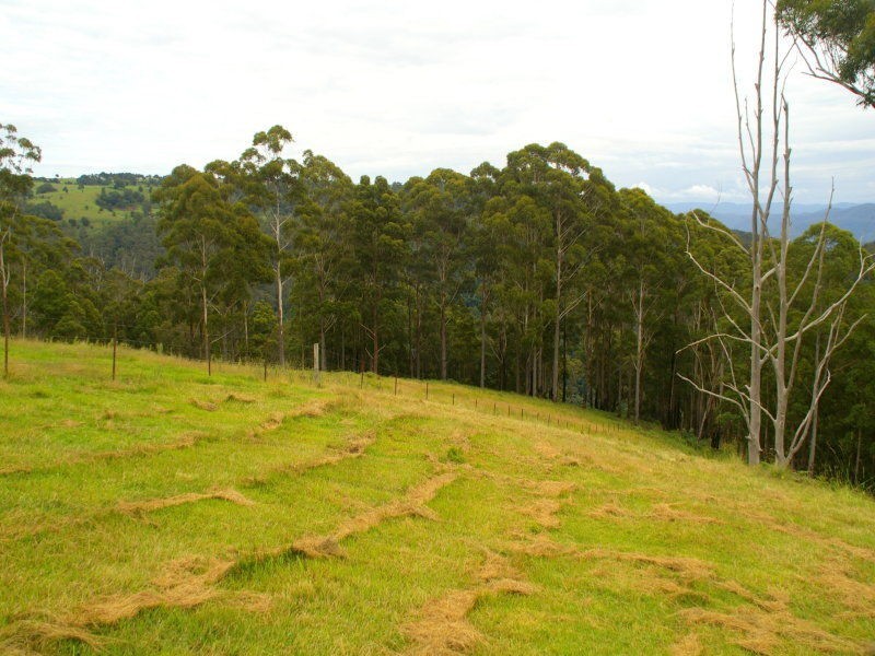 481 Ponsfords Road, Comboyne NSW 2429