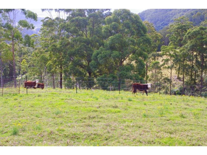 481 Ponsfords Road, Comboyne NSW 2429