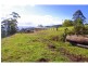481 Ponsfords Road, Comboyne NSW 2429