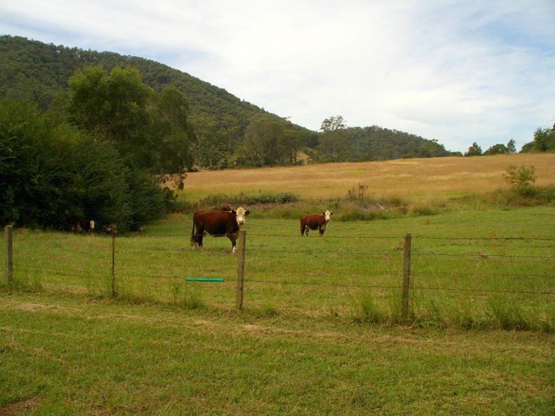 571 Bagnoo Road, Byabarra NSW 2446