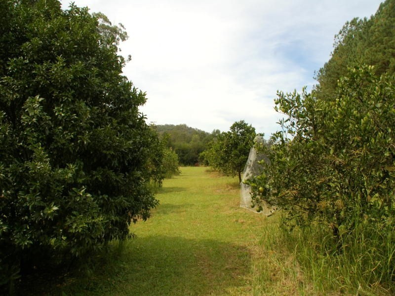 571 Bagnoo Road, Byabarra NSW 2446