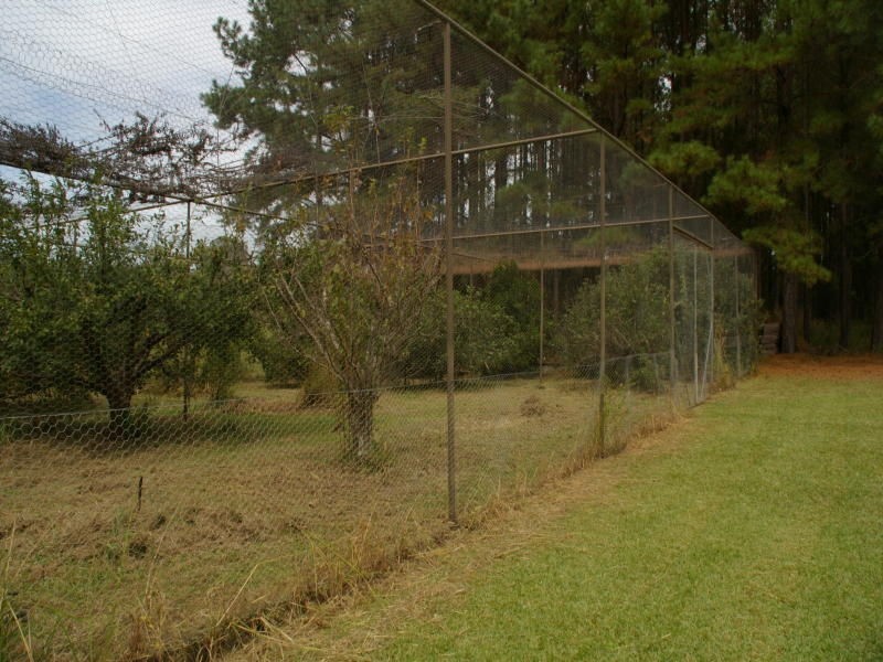 571 Bagnoo Road, Byabarra NSW 2446