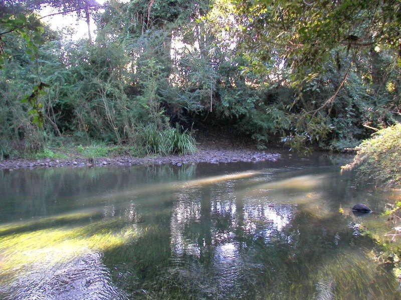 571 Bagnoo Road, Byabarra NSW 2446