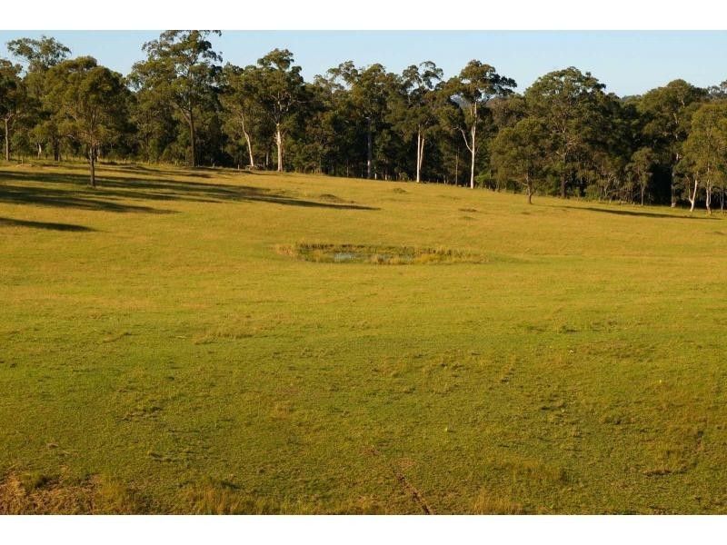 77 Pappinbarra Road, Beechwood NSW 2446