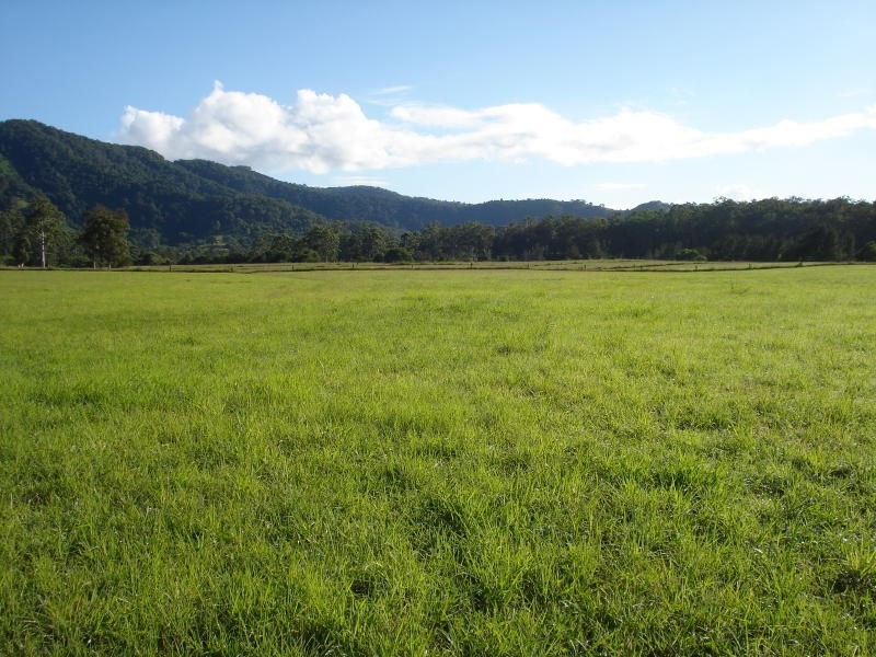Lot 8, 1496 Pipeclay Road, Pipeclay NSW 2446