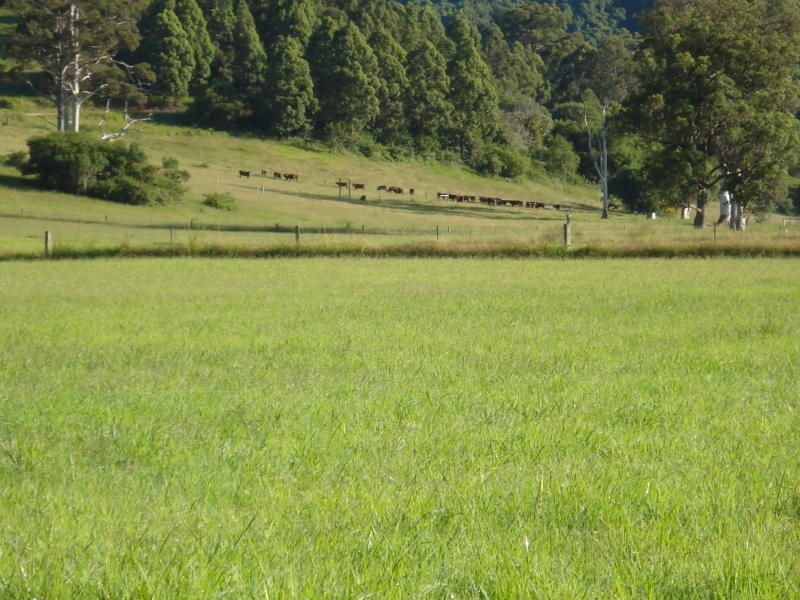 Lot 8, 1496 Pipeclay Road, Pipeclay NSW 2446