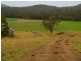 65 Littles Loop Road, Rollands Plains NSW 2441