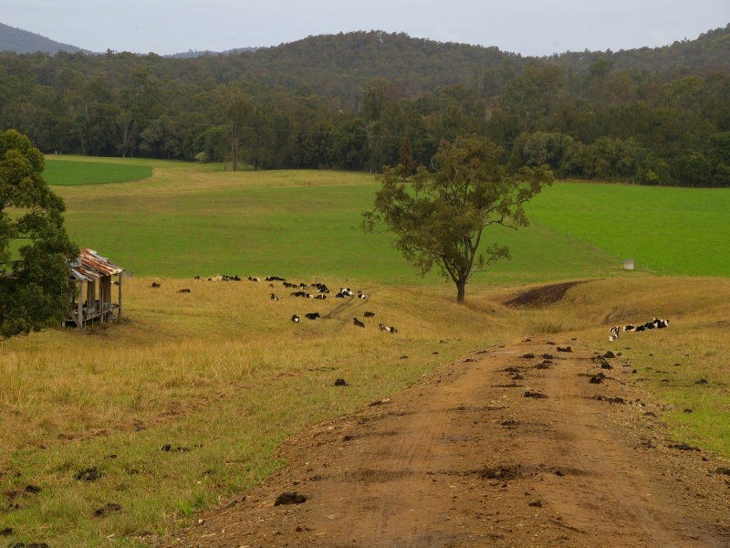65 Littles Loop Road, Rollands Plains NSW 2441