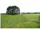 3916 Comboyne Road, Comboyne NSW 2429