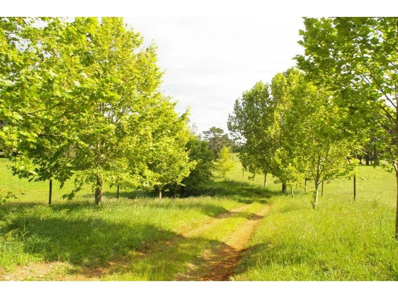 3916 Comboyne Road, Comboyne NSW 2429