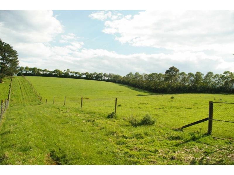 3916 Comboyne Road, Comboyne NSW 2429