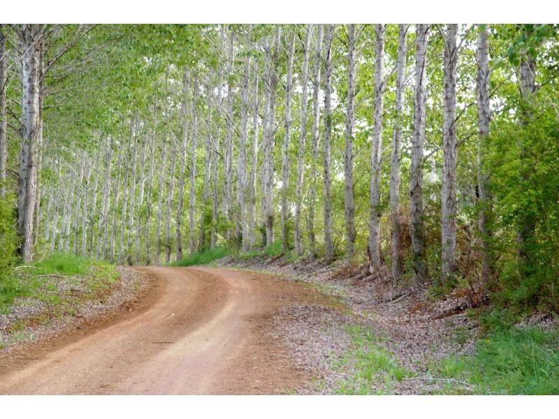 3916 Comboyne Road, Comboyne NSW 2429